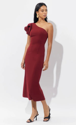 Vestido Dion