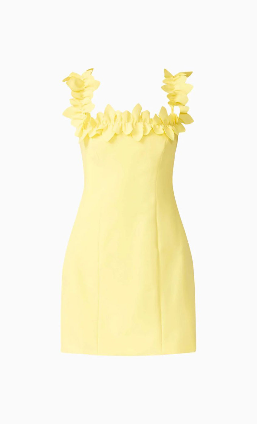 Vestido Cara
