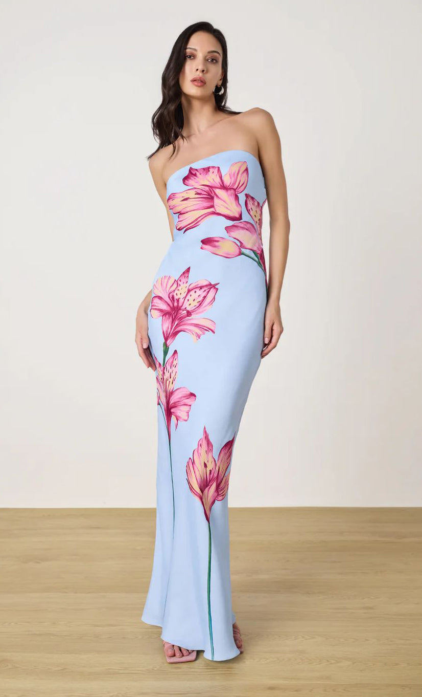 Vestido Dove