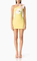 Vestido Hope